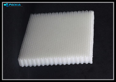 China Conductive Grade Polycarbonate Honeycomb Core For Plastic Honeycomb Panels supplier